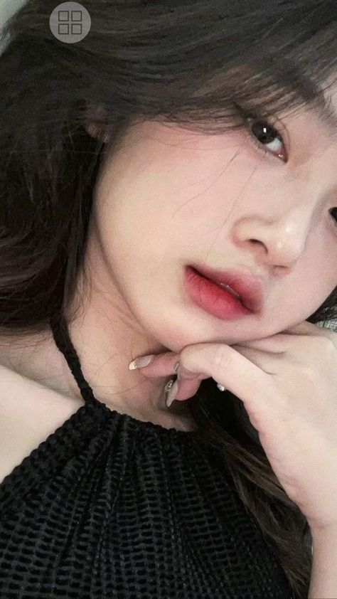 树大招风粤语在线高清观看剧情